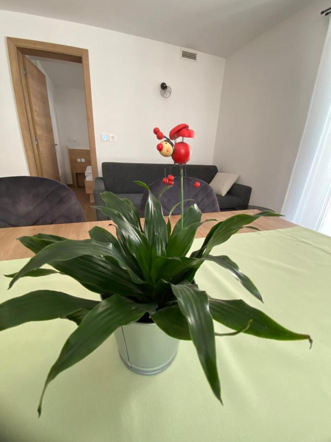 New Apartments Teravila Rateče 外观 照片